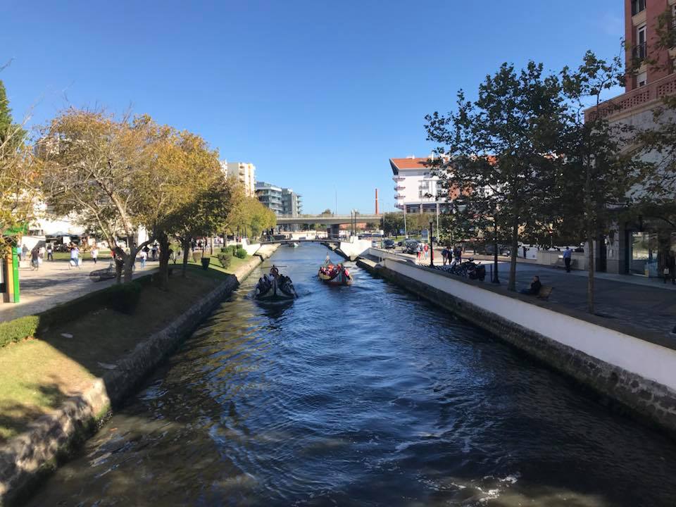 Novo PDM, que alarga os limites de Aveiro, foi aprovado pelo executivo
